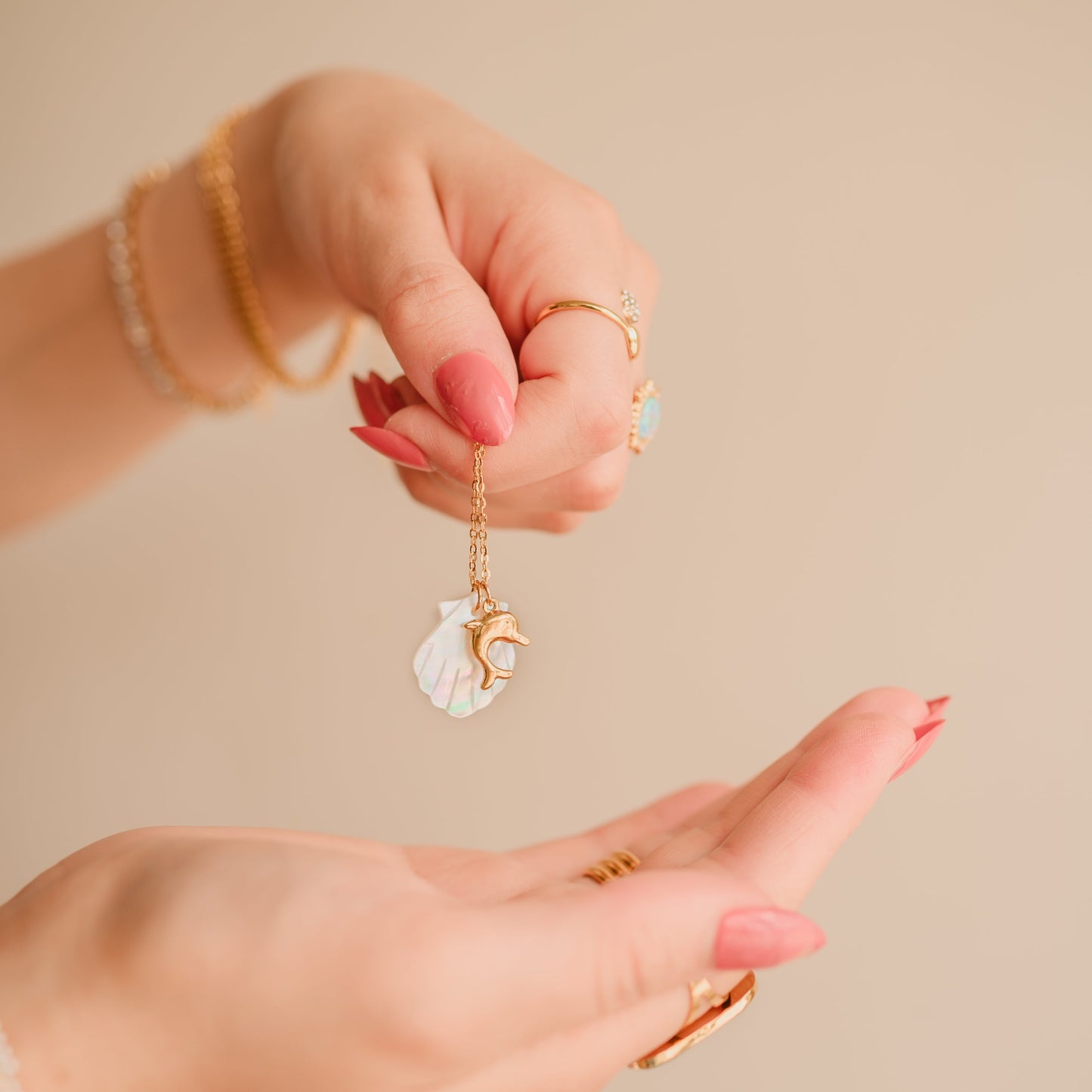 Starfish Conch Shell